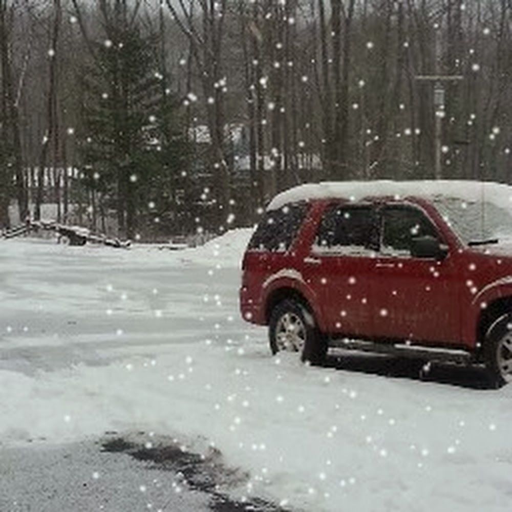 Meet your Posher, Jenny